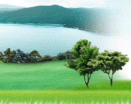 �����л��@�����O������S���޹�˾