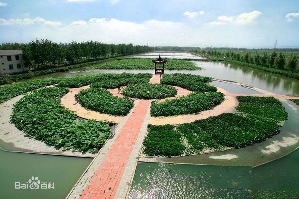 ����(y��ng)���P(y��ng)���μ�ɢ����