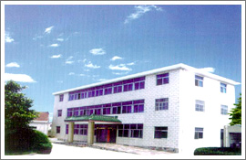 ���d���Aʢ�������޹�˾