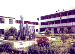 �������f��܇�v�������޹�˾