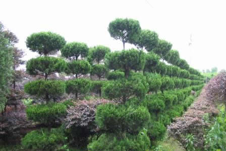 �����괨��ľ��ľ�@�ֈ@ˇ��˾ �Ԓ��0376-6119797