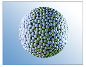 ���������������