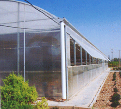 PC���(c��)�_(k��i)������