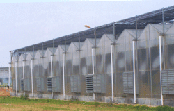 �ĸ�ʽ����