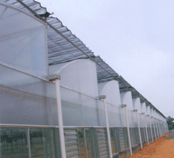 ��X�͜���