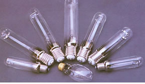 ���w��늟�1