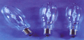 ���w��늟�2