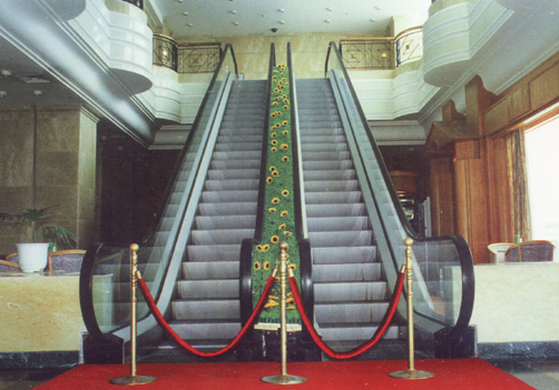 <<FGL FML ϵ���Ԅӷ���(2)>>