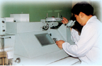 �T���߱��������