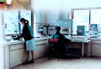 ��ɰԇ�����