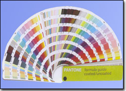 ���� PANTONE ɫ��