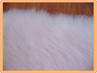 ��˾�a(ch��n)Ʒչʾ4