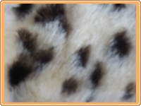 ��˾�a(ch��n)Ʒչʾ3