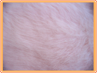 ��˾�a(ch��n)Ʒչʾ1