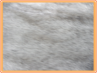 ��˾�a(ch��n)Ʒչʾ2