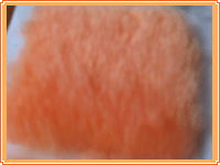 ��˾�a(ch��n)Ʒչʾ5