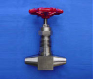 �ߜظ߉����ӽ�ֹ�y