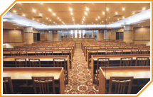 ����鱨����