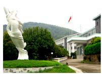 �ͷ����c����