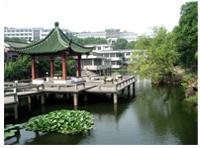 �ȼٴ�ɻ���