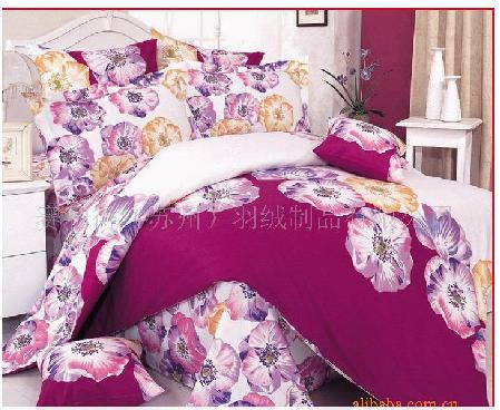 ����(y��ng)����ļ���