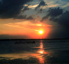 ���Ό���