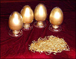 �t���~���ϵ��