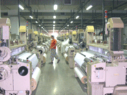 �O(sh��)��һ