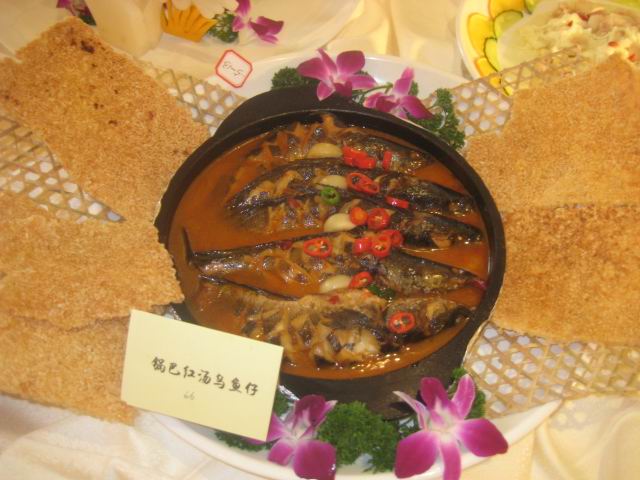 ���ͺ���������