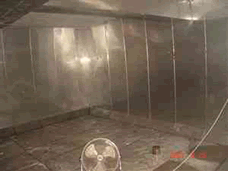 ���P䓃�(n��i)�rˮ��2