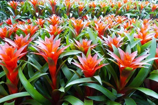 �P�滨�t��