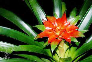 �P�滨����˹