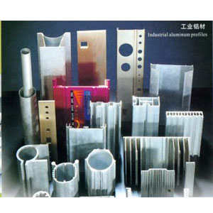 �X�Ͳģ���ʮ��