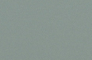 ���yϵ��(AL-309)