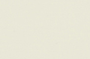 ����ϵ��(AL-304)