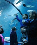 ���c(di��n)չʾ5