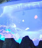 ���c(di��n)չʾ6