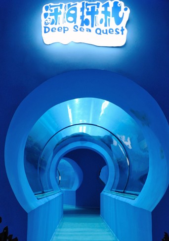 ���c(di��n)չʾ8