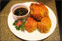 ��ɫ����(��)