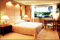 �Ƶ�ͷ�(��)