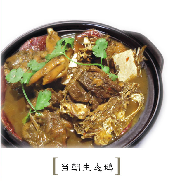 ������̬��