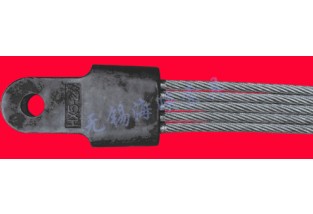 ������Kչʾ20