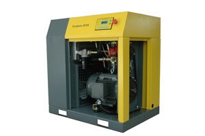 �����ݗU���s�C(j��)