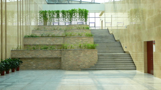 �������T�d