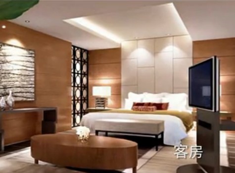 �Ƶ�Ч���D