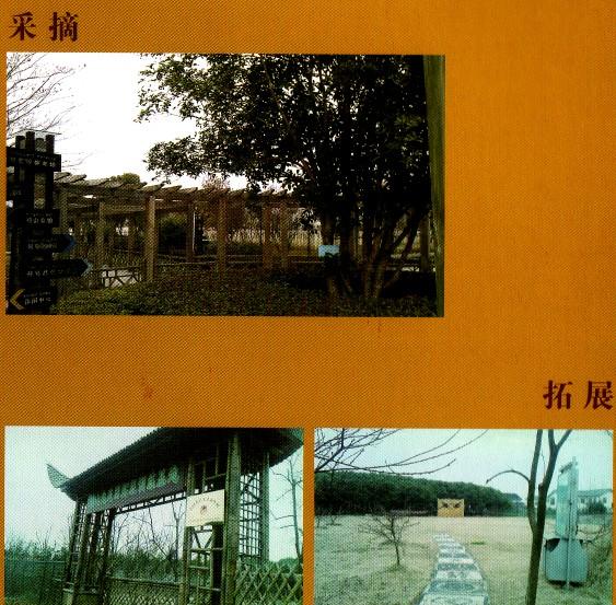 ��ժ����չ