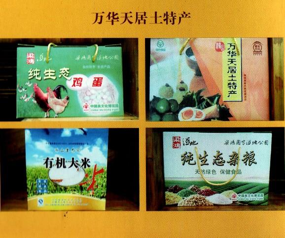 ��������ز�