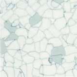 ������PVC�N��