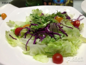 ������Ƶ�DƬչʾ