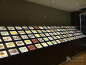 ������Ƶ�DƬչʾ